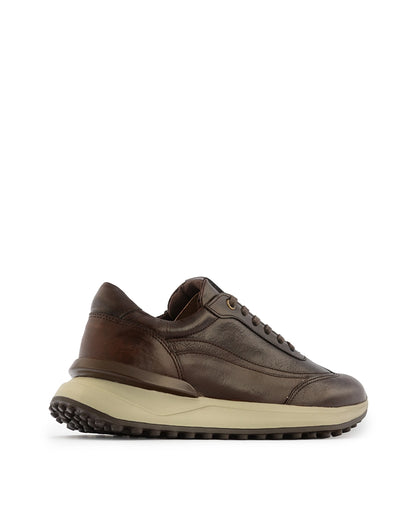 Nex™ Conag 🇨🇴