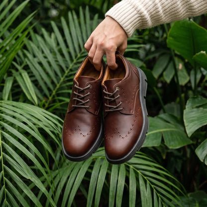 Oxfords Nardo Coñac y Negro - empaque premium envio gratis Colombia